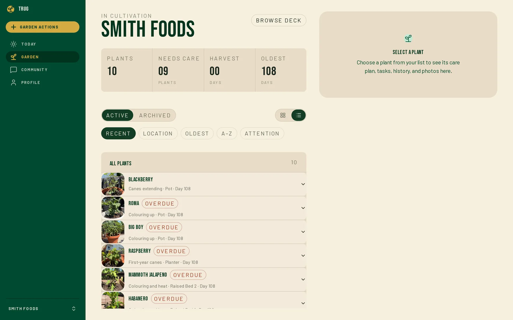 Garden screen on desktop: stat panel, sort chips, and a list of plants each with a photo, growth stage and overdue badges.